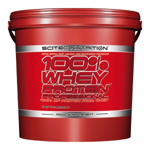 Whey Protein Professional 5000G