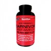 Carnivor Beff Amino