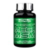 Mega MSM 100 Caps